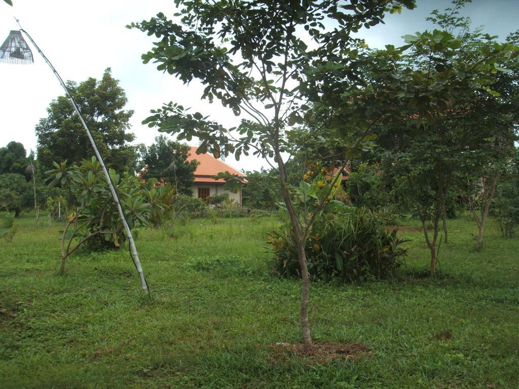 Green Plateau Lodge Banlung Esterno foto