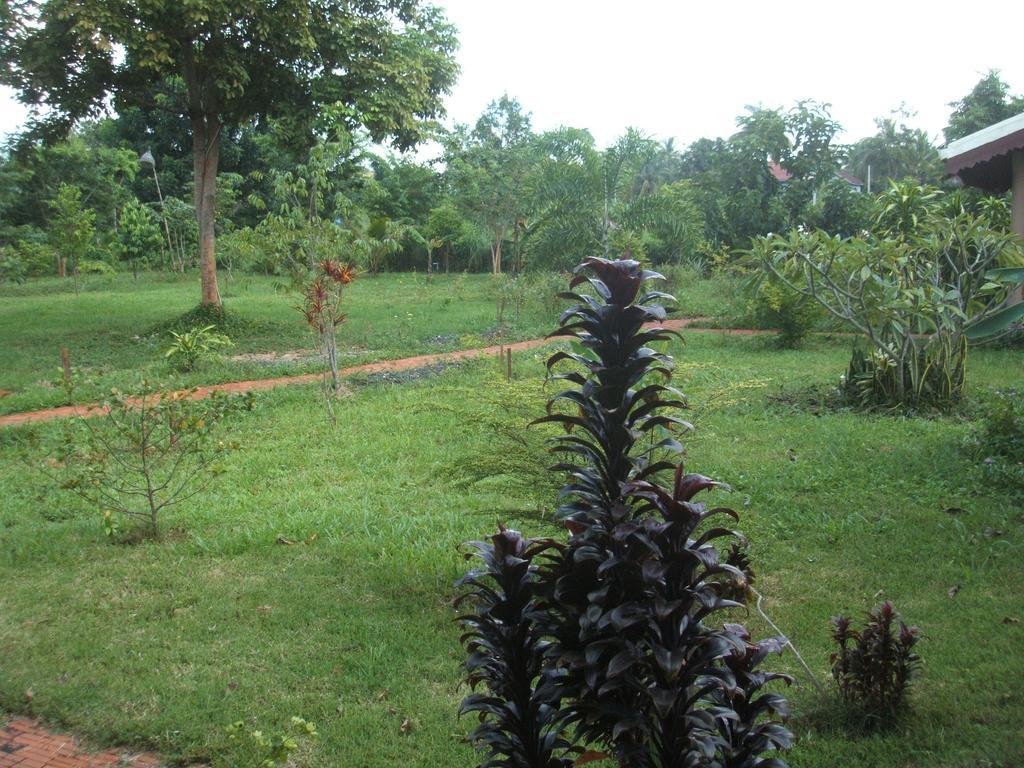 Green Plateau Lodge Banlung Esterno foto
